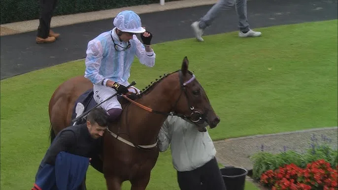 凯旋之光 - 马匹血统 - j9体育