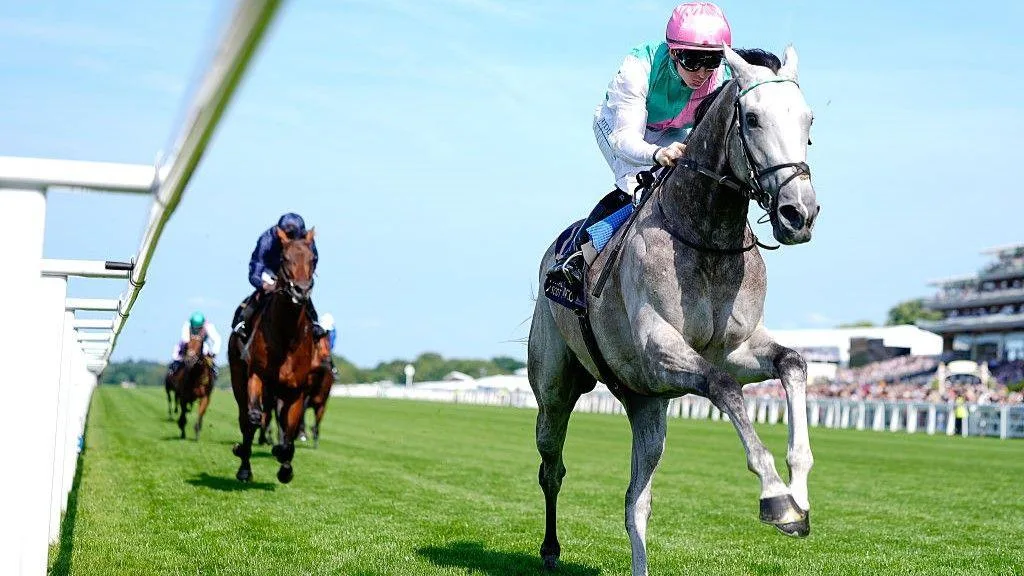 今日焦点赛事头号热门 - 赛马分析 - j9体育