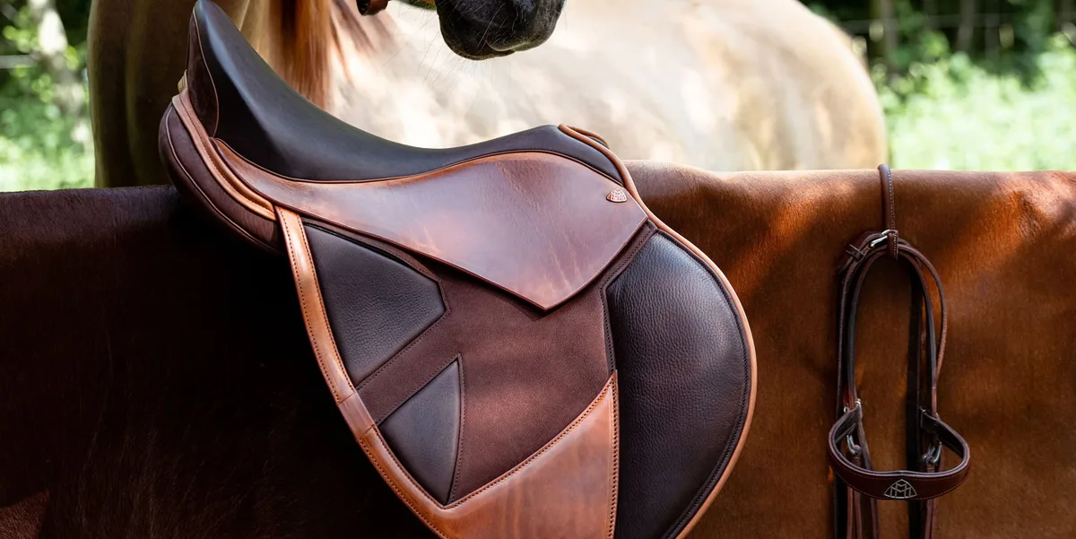 母系血统的隐藏价值 - j9体育