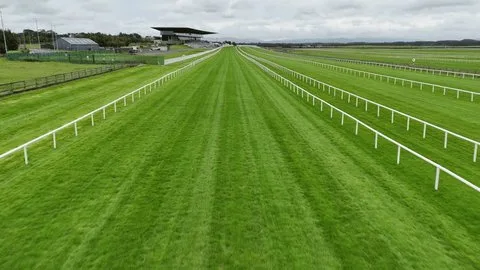 血统与赛道适性的关联分析 - j9体育